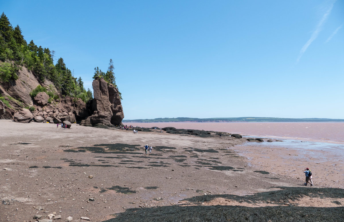 Идём по дну океана к одной из удивительных скал Hopewell Cape Rocks (залив Фунди, Канада) - Юрий Поляков