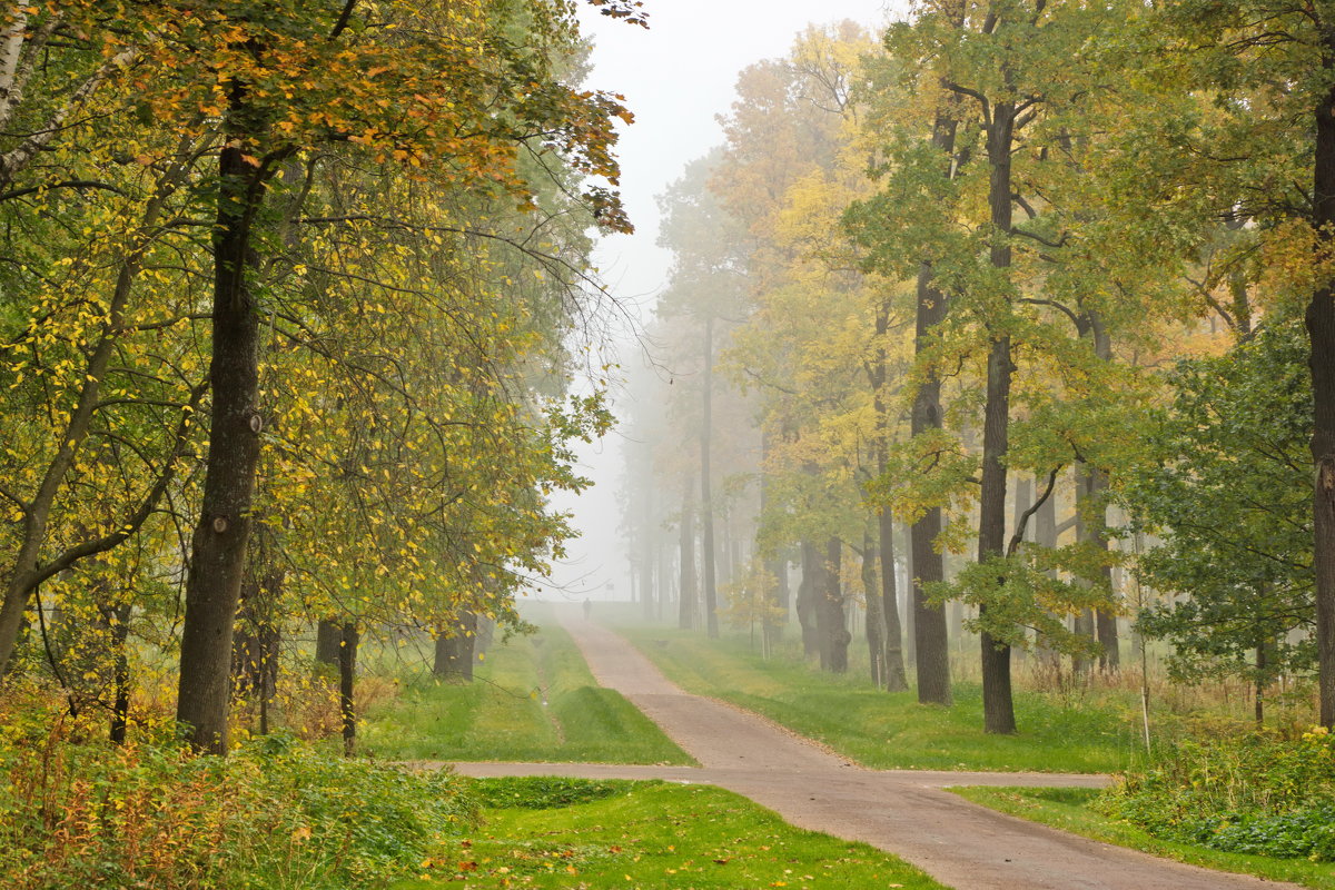 Петергоф. Парк Александрия. - Наталья Иванова