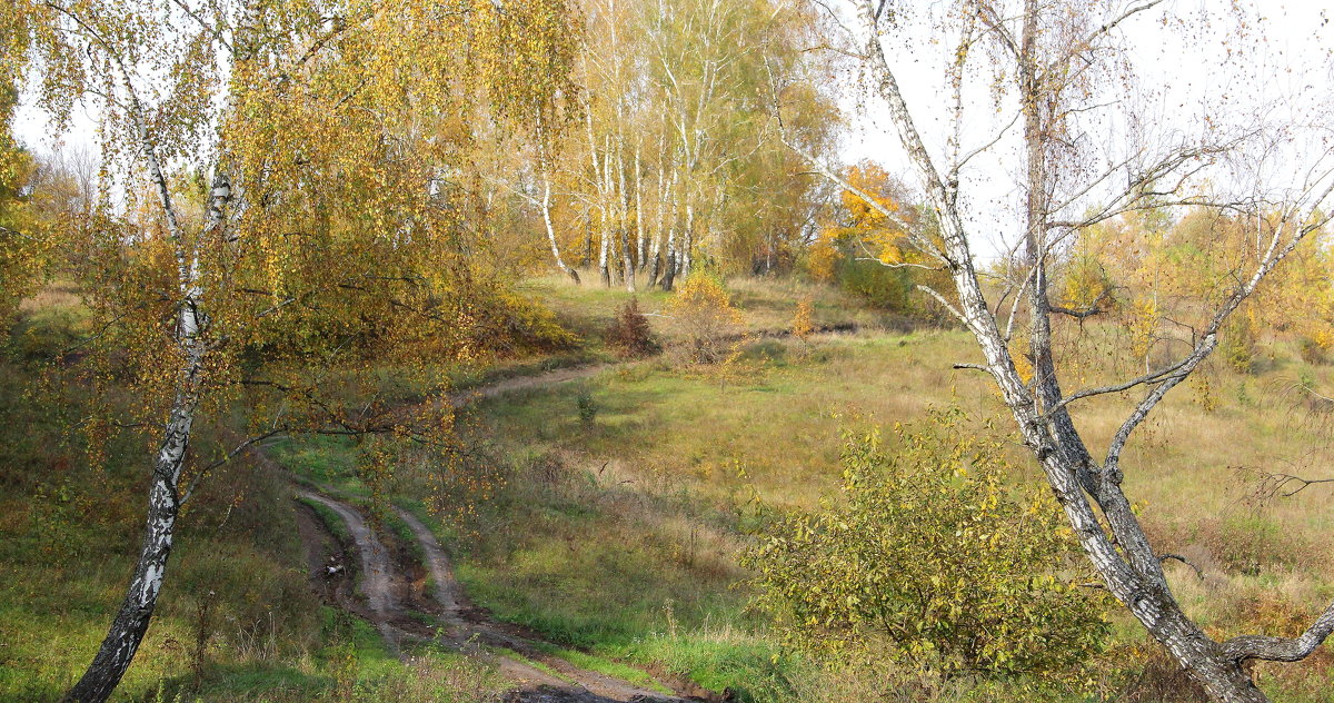 Осенний пейзаж с грунтовой дорогой. - Борис Митрохин