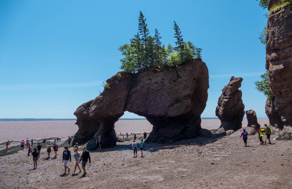 Прогулка по морскому дну у скал Hopewell Cape Rocks (Канада) - Юрий Поляков