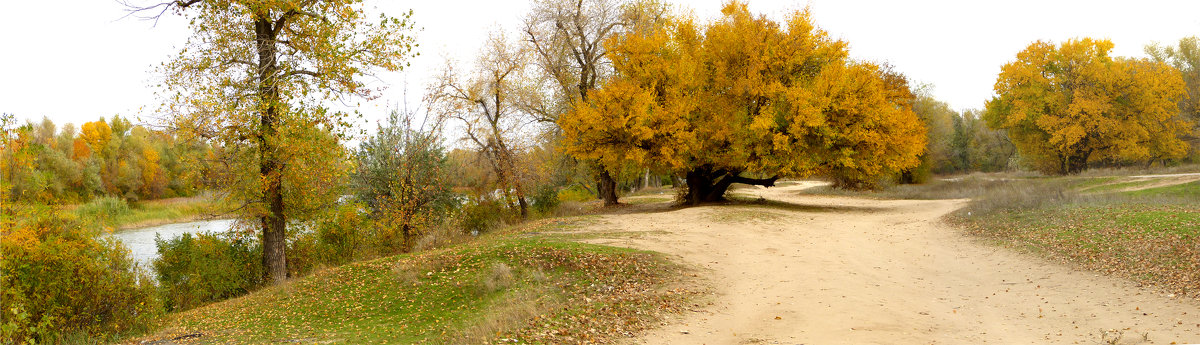 Осенняя панорама - Анастасия Сосновская