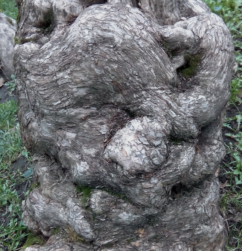 ЛЬВИНАЯ ДОЛЯ - Юрий Вовк