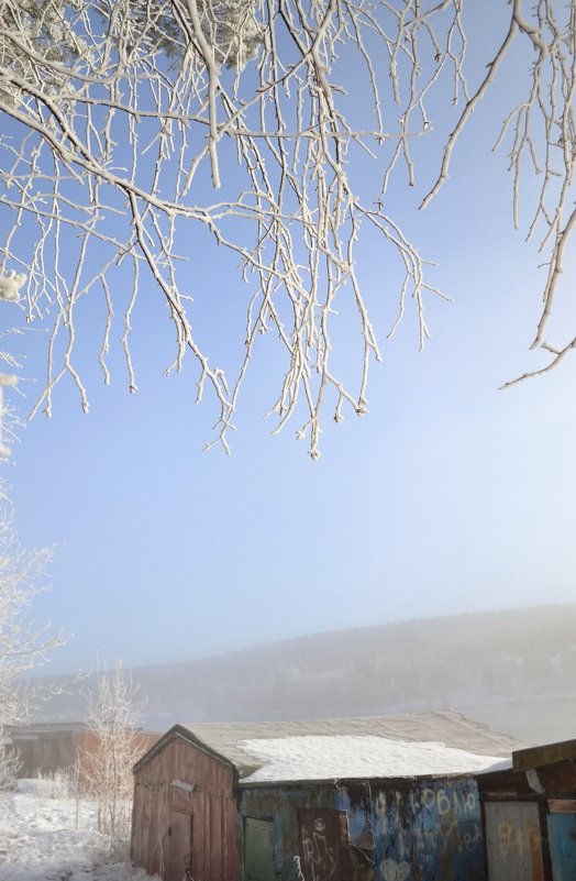 Туманный занавес - Ольга Туманный занавес - Ольга