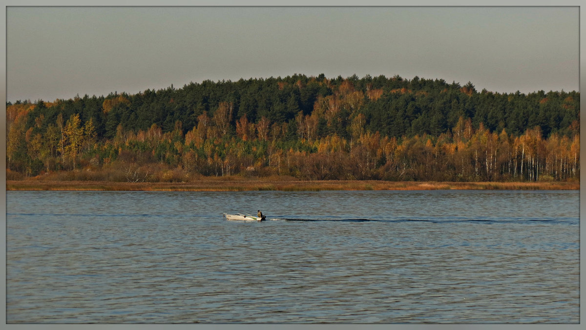 *** - Михаил Цегалко