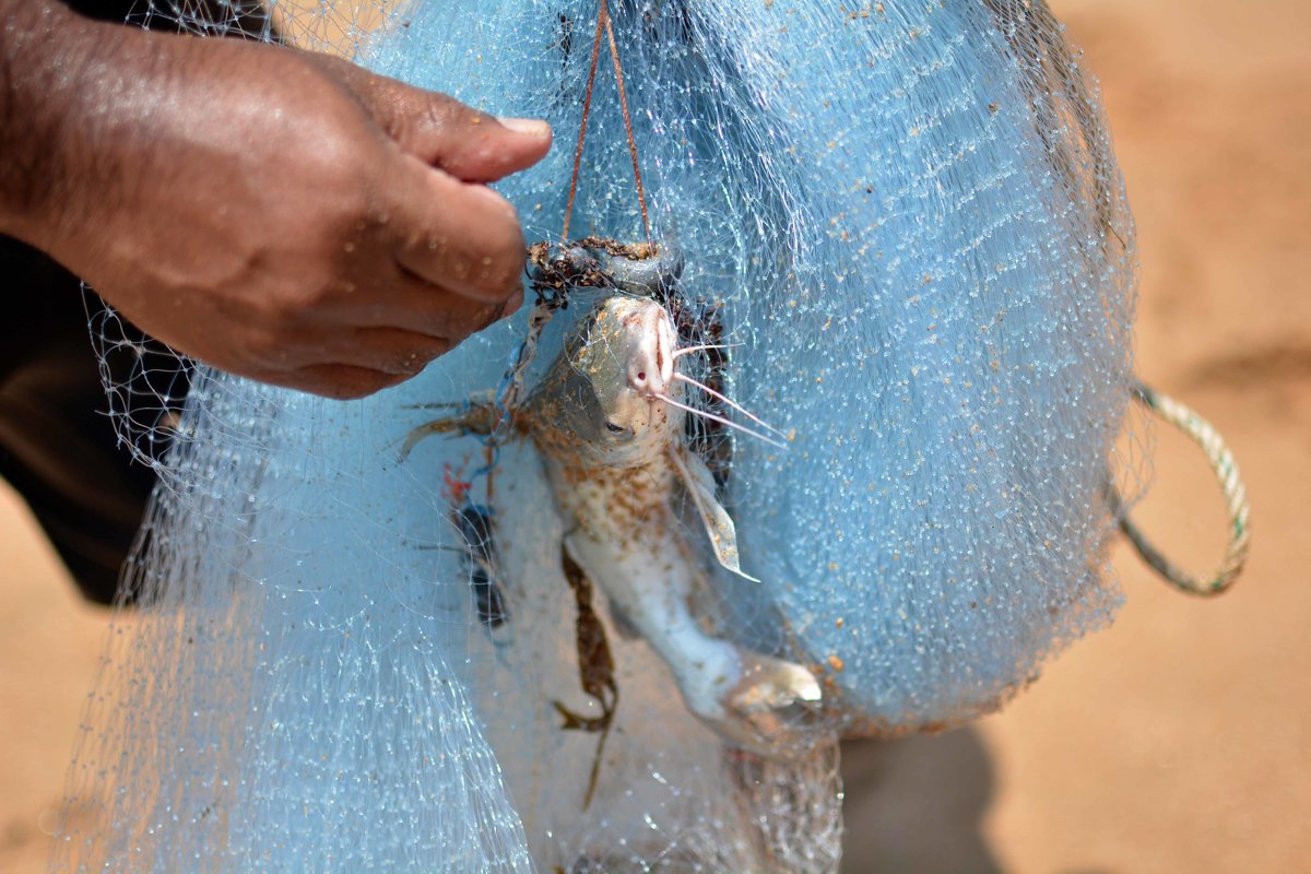 Рыбацкое счастье - Владимир Рубцов