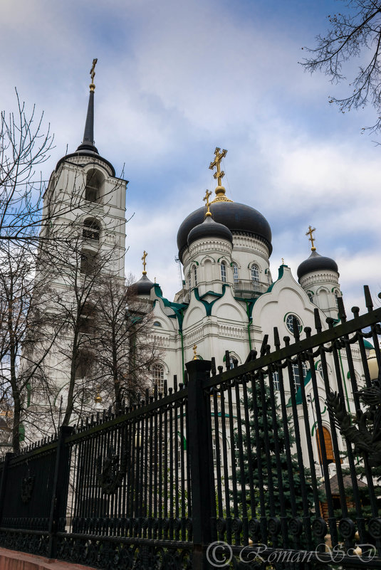 Красоты Воронежа - Роман Воронежский