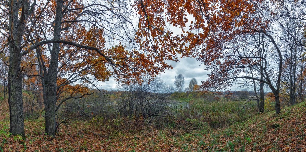 Поздняя осень - Николай Андреев