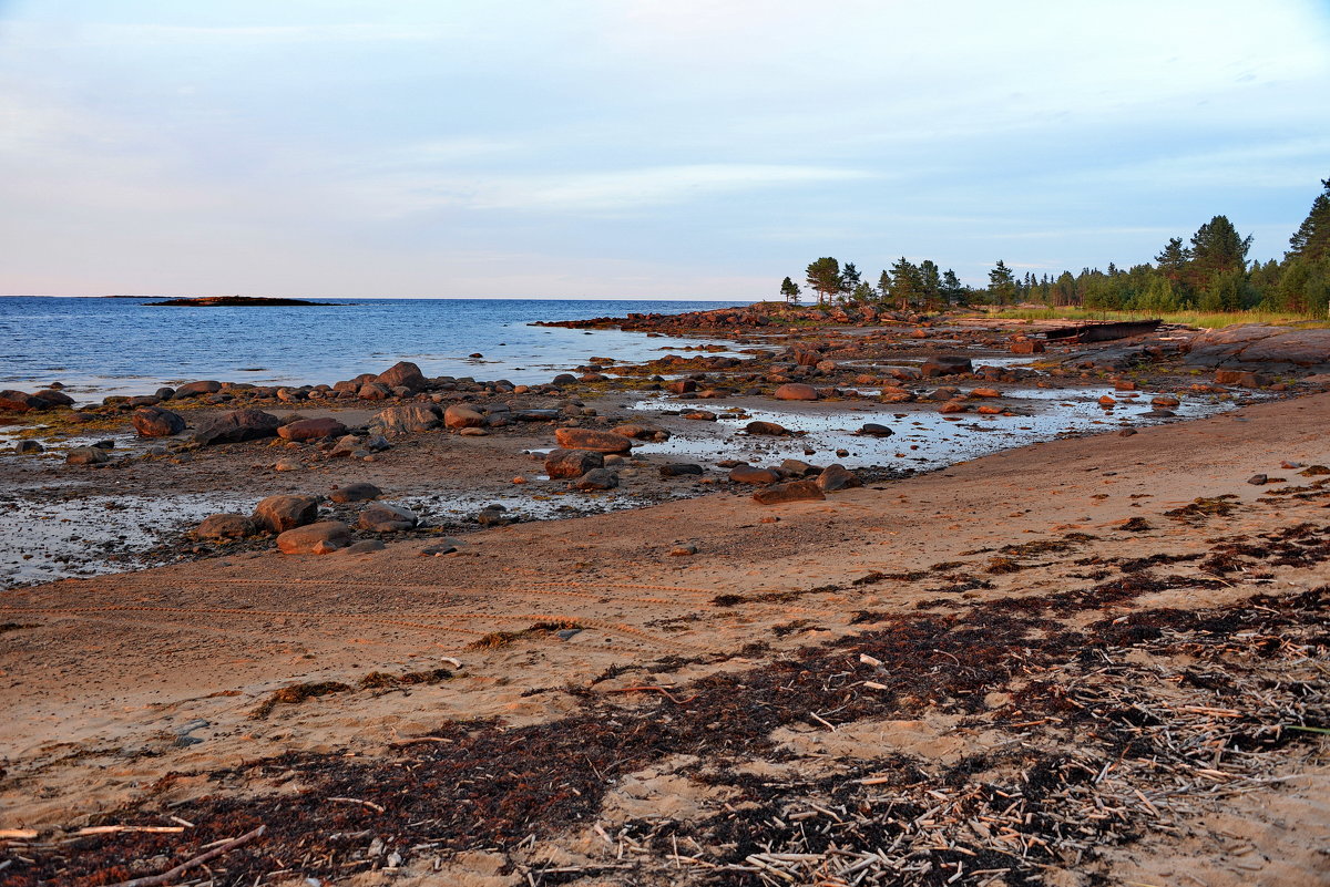 Белое море - Владимир Брагилевский