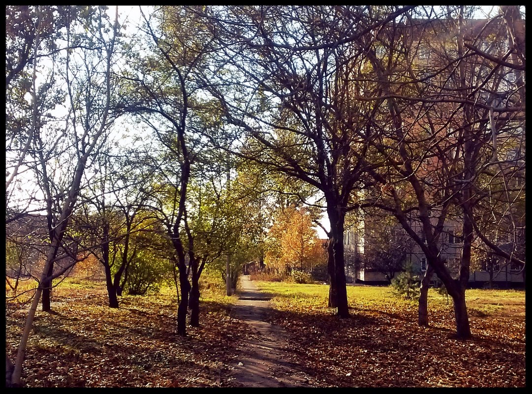 Осень в городе - 2 - Владимир Бровко