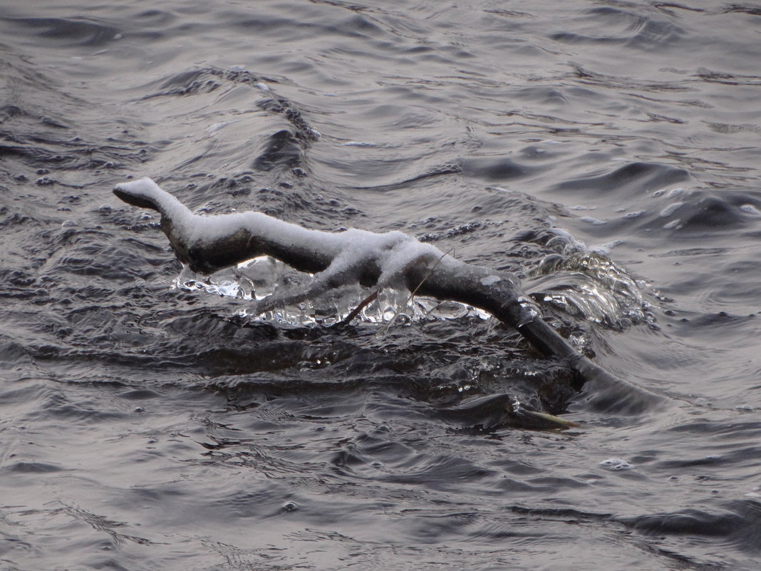 фигуры...облики.. - Михаил Жуковский