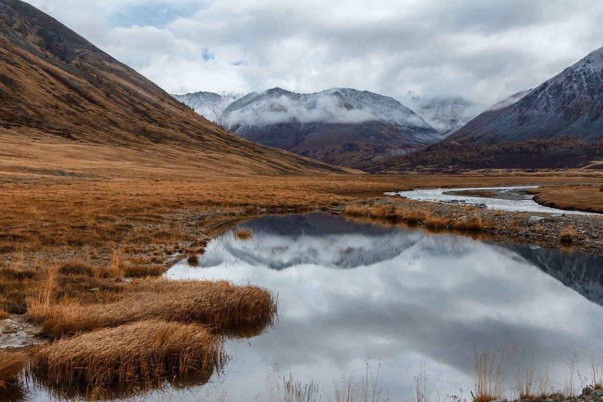 Отражение... - Галина Шепелева