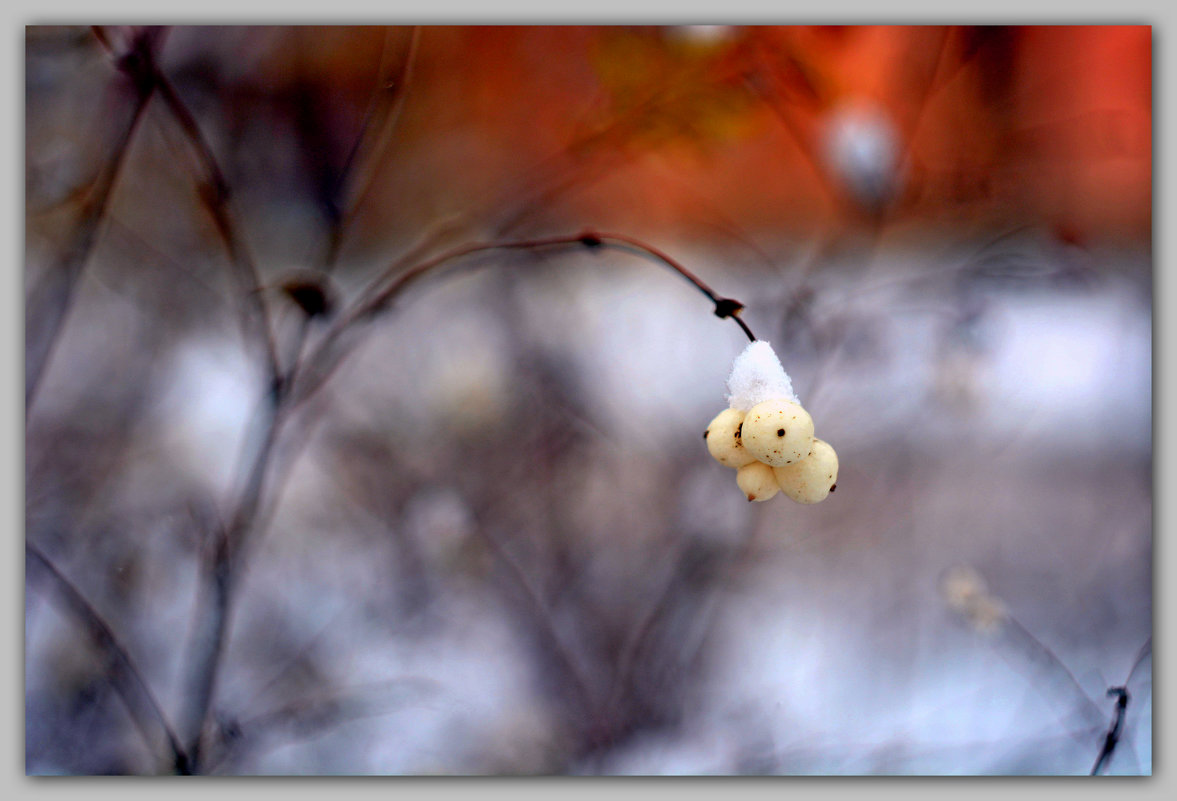 зарисовка2 - AlexN200913 AlexN200913