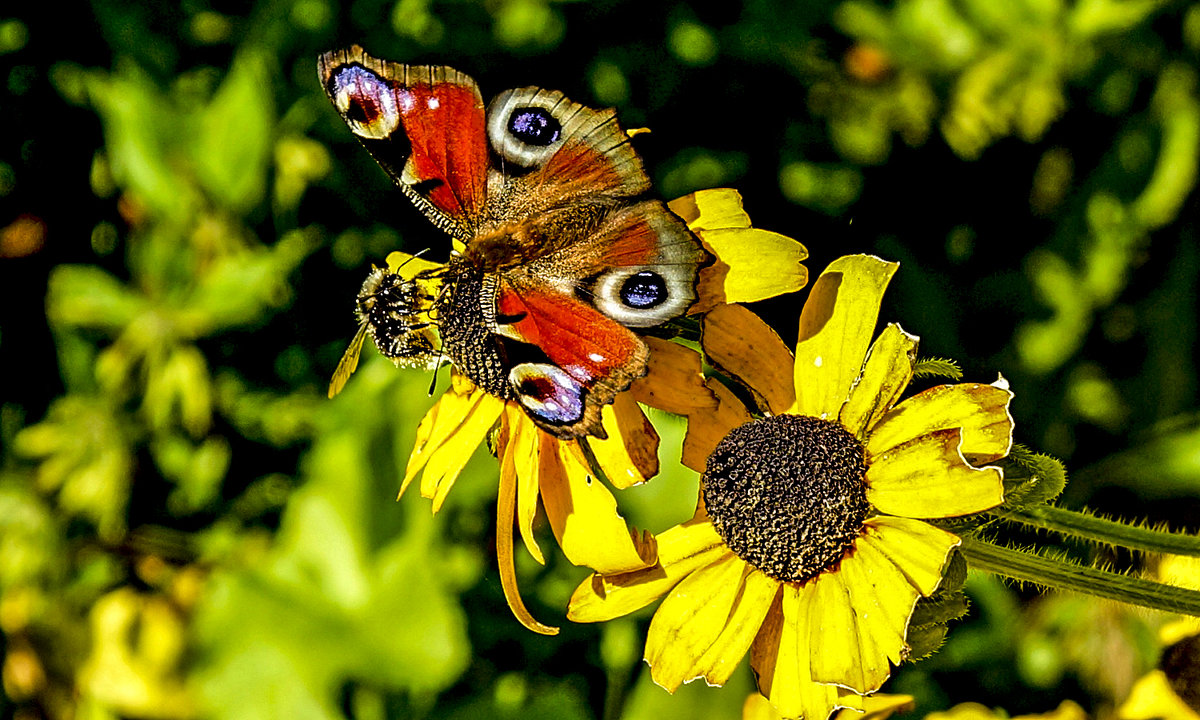 Встреча - Владимир Воробьев