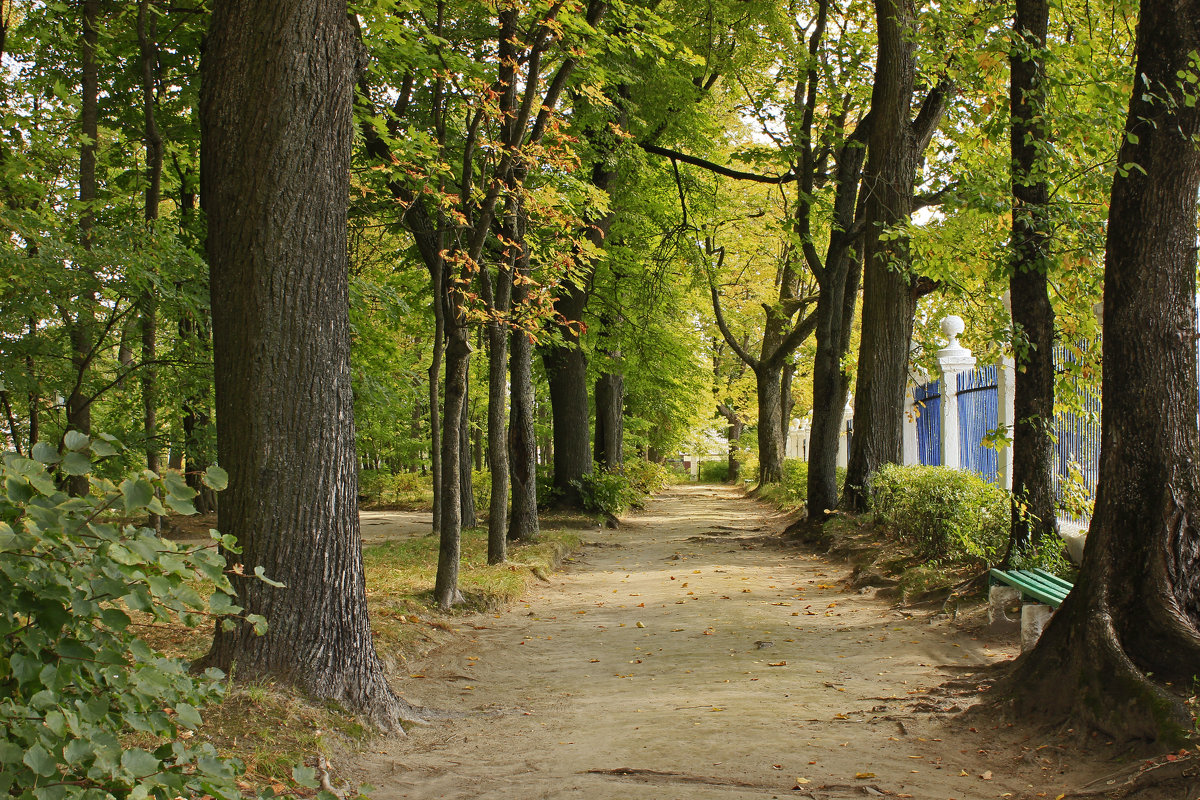 в парке - оксана 