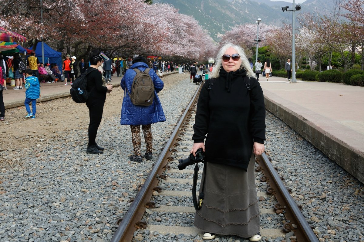 Gyeonghwa Station (Cherry Blossom Road) - Tatiana Belyatskaya Gyeonghwa Station (Cherry Blossom Road) - Tatiana Belyatskaya