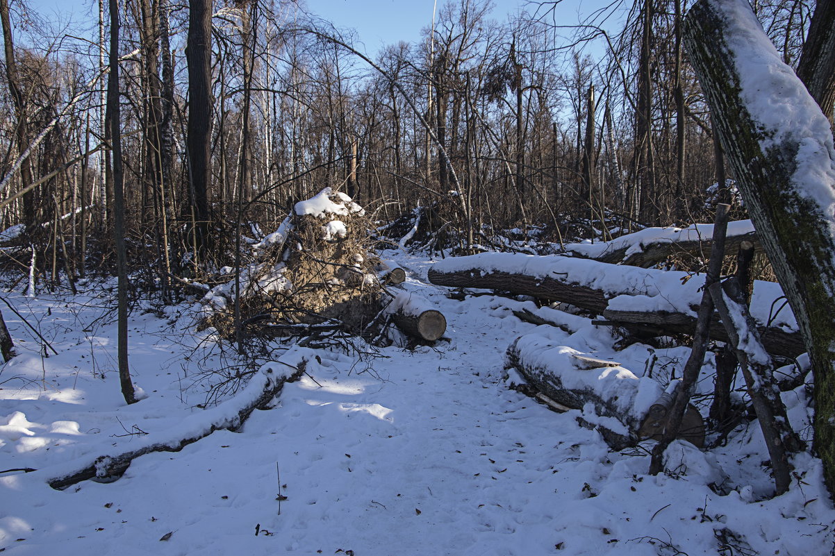 Прошёл большой ветер 2 - Яков Реймер Прошёл большой ветер 2 - Яков Реймер