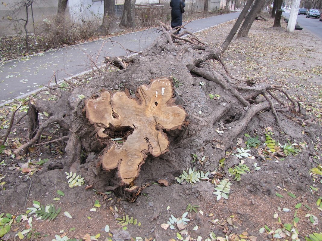 Это конец - Александр Скамо