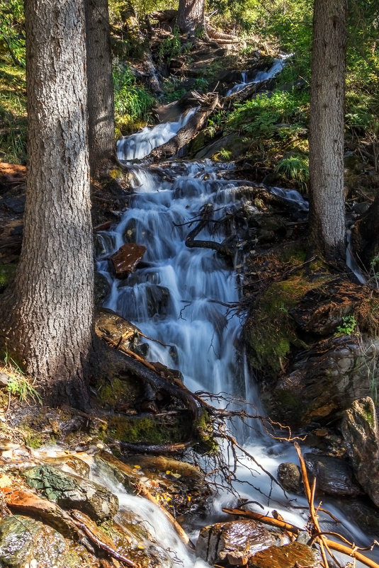 р. Боки - Галина Шепелева