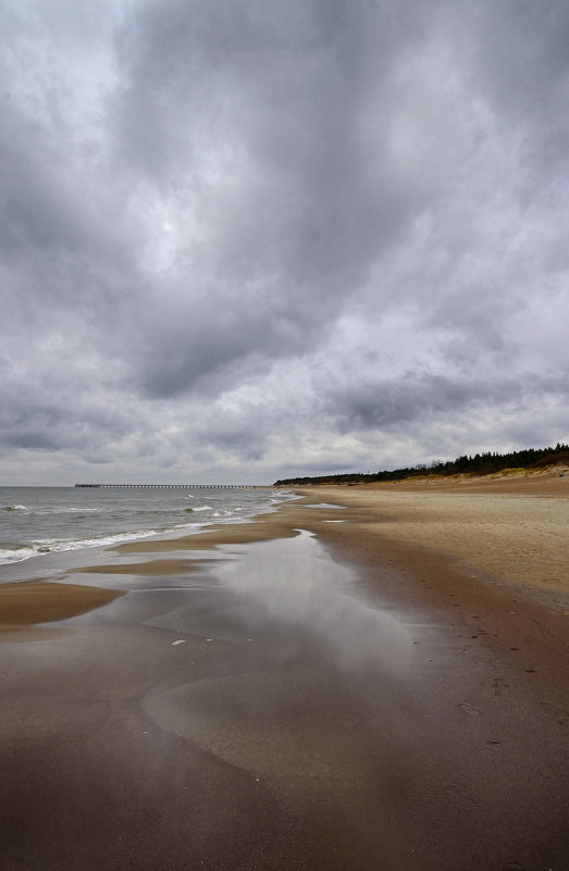 Утро - Дмитрий Близнюченко Утро - Дмитрий Близнюченко
