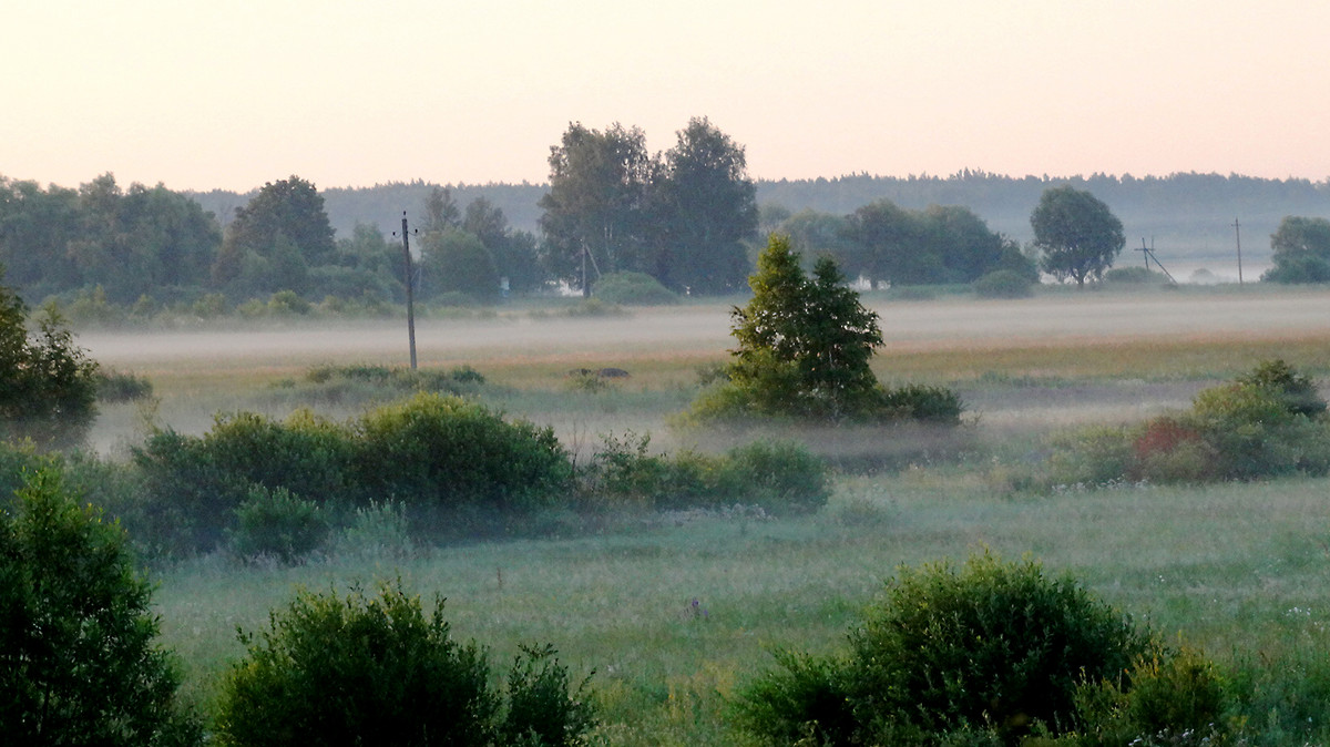 туманное утро - Людмила Романова туманное утро - Людмила Романова