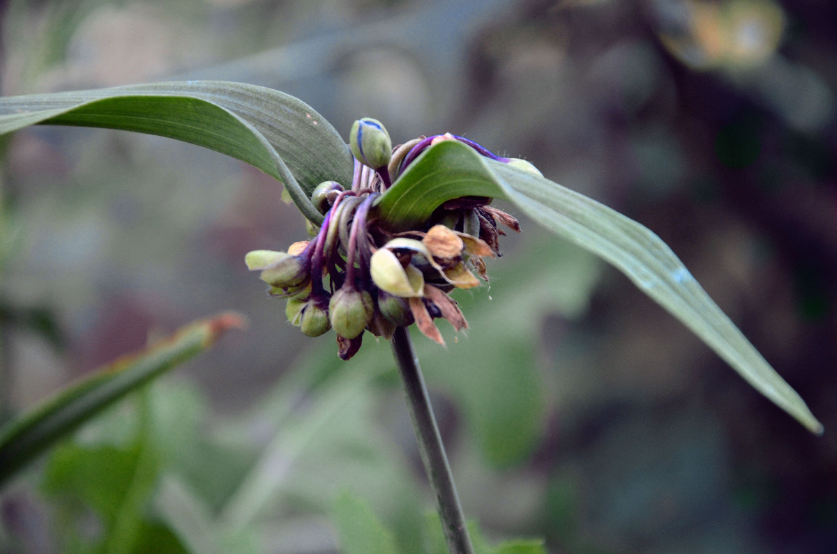 * - Юля Дегтярёва * - Юля Дегтярёва