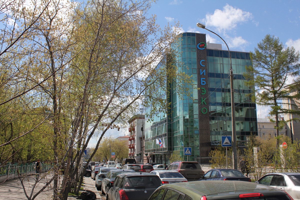 Новострой в центре - Наталья Золотых-Сибирская Новострой в центре - Наталья Золотых-Сибирская