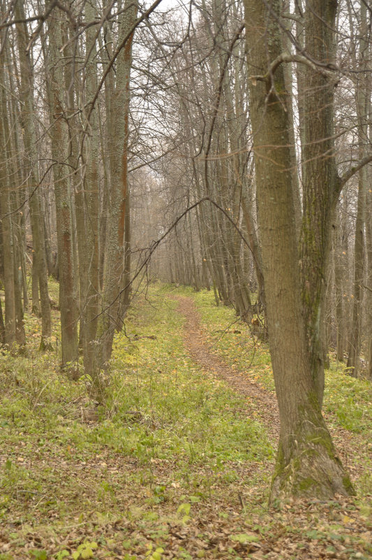 Осенний мотив - Нина Алексеева 