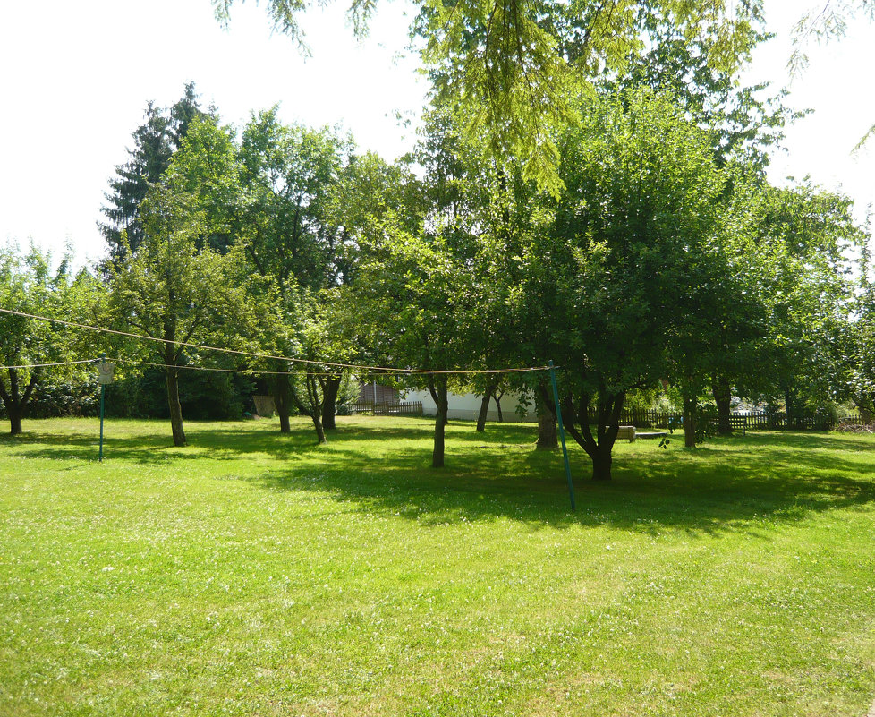 Полянка - Надежда 