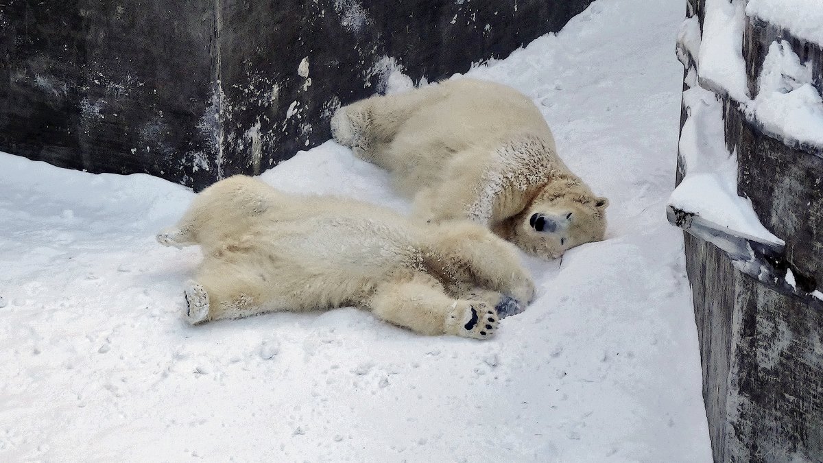 0456f - Аркадий Лаптенко