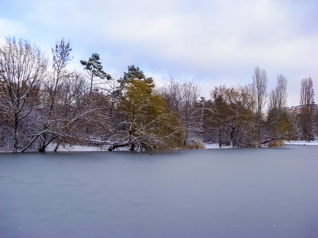 ****** - Варвара 