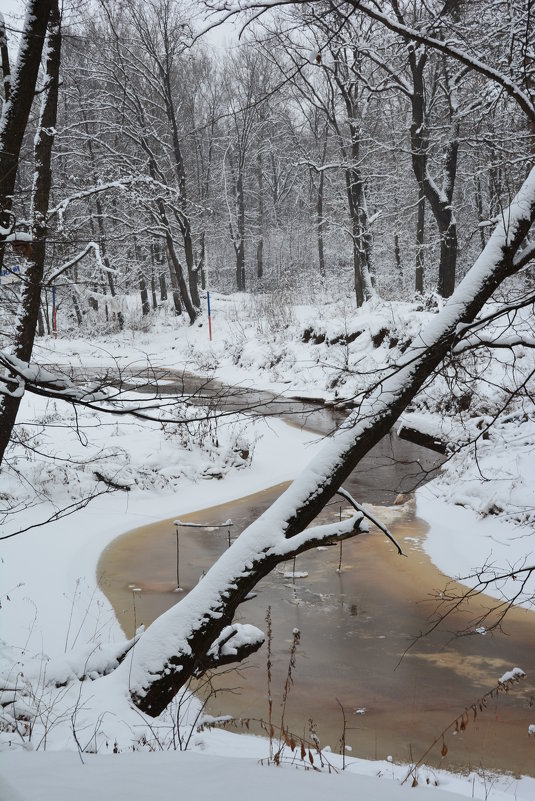 . - Александр 