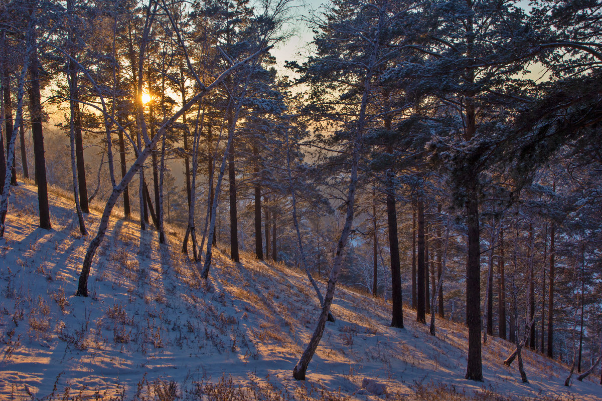 Тени на косогоре - Анатолий Иргл