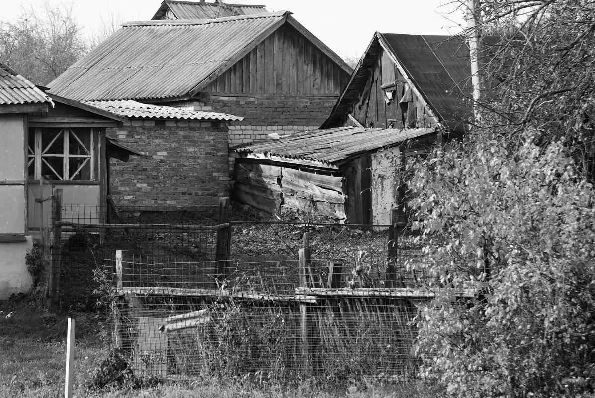 деревенские_зарисовки - Алексей Немчинов