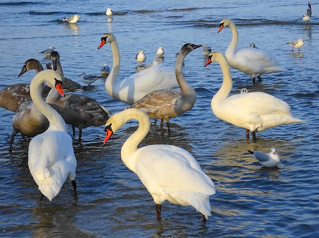 Молодые и сильные - Маргарита Батырева Молодые и сильные - Маргарита Батырева