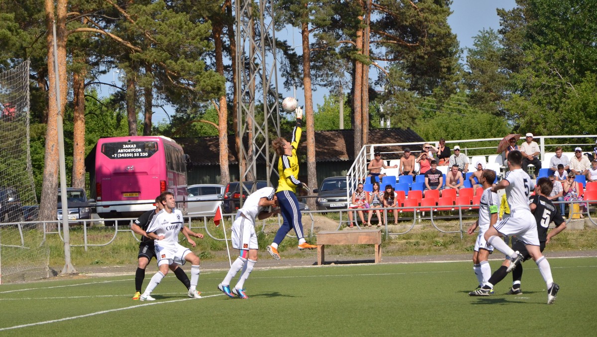 Вратарь - Дмитрий Вершинин