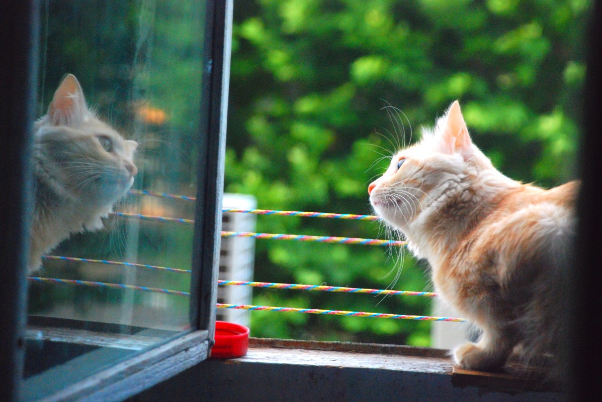 Встреча с собой - виталий Цицюрский