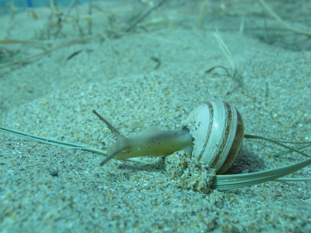 Пробуждение - Дашенька Лабуткина