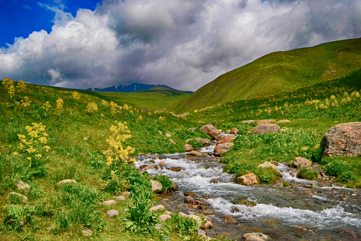 Июнь в горах - santamoroz Июнь в горах - santamoroz