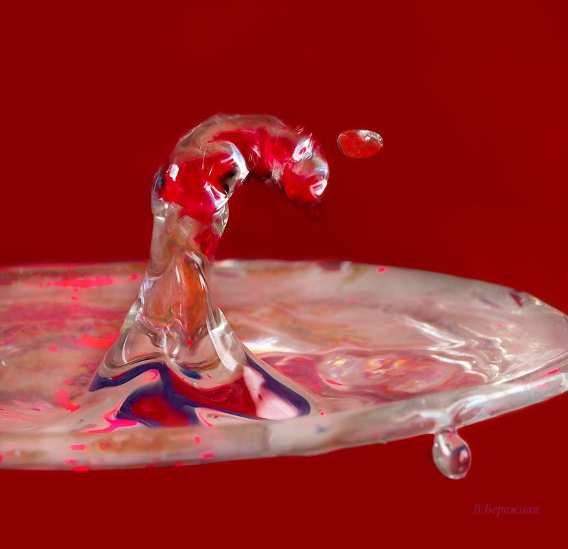 Водяной дракон - Вера Бережная 