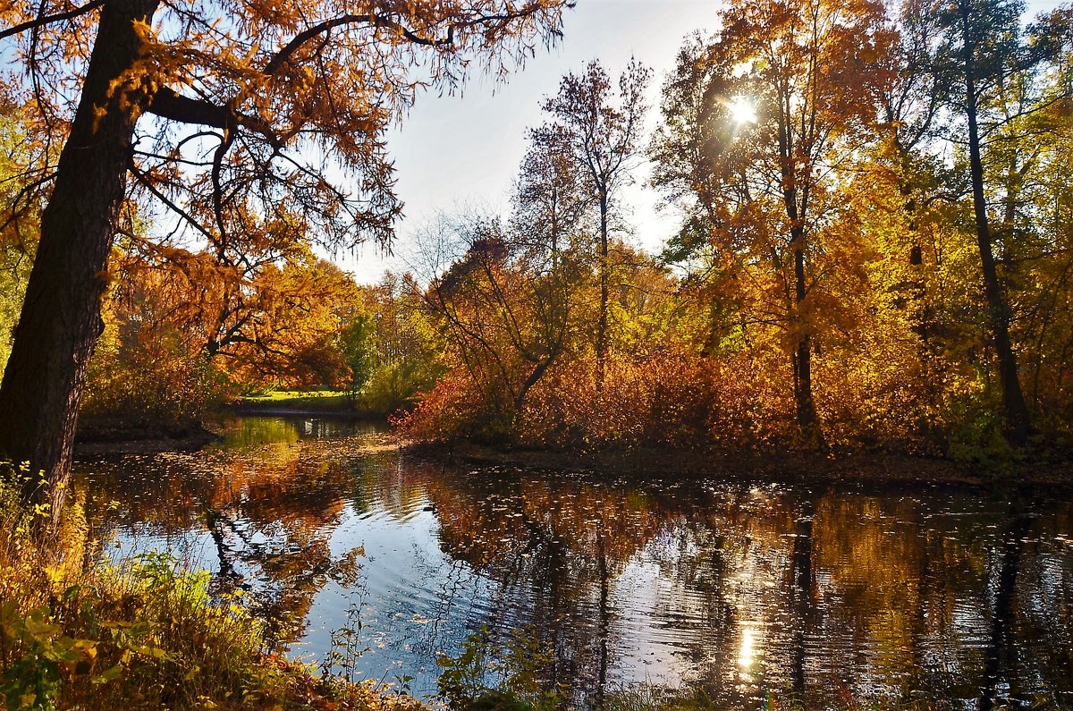 Рыжая красавица осень... - Sergey Gordoff