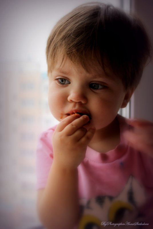 печенюшки...... - Анна Шишалова