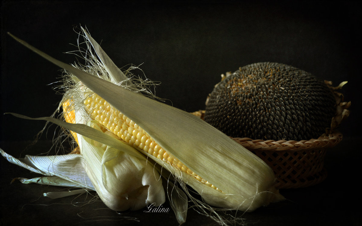 С кукурузой - Галина Galyazlatotsvet