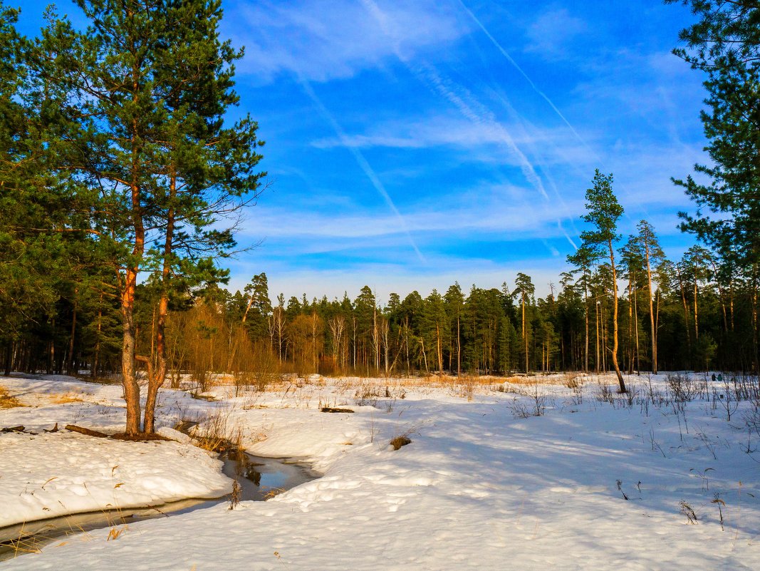 *** - Дмитрий Янтарев