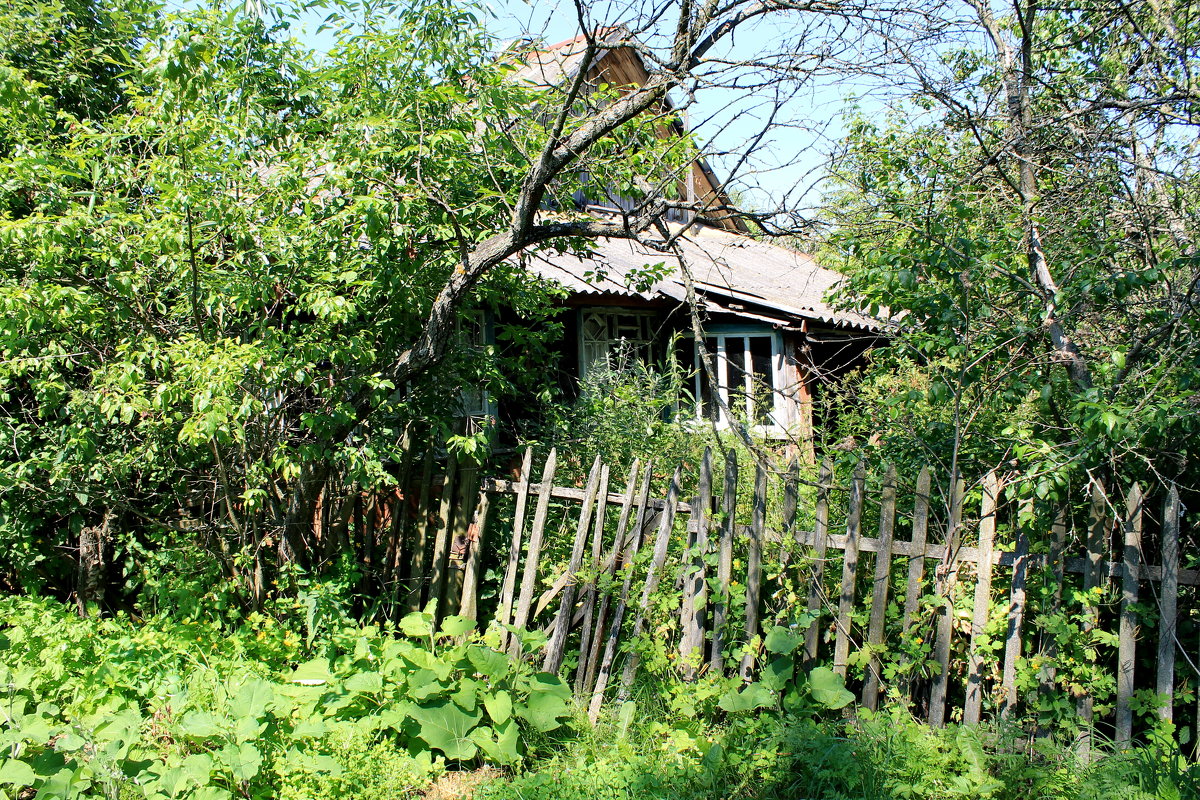 Ветхость - Александра Романова 