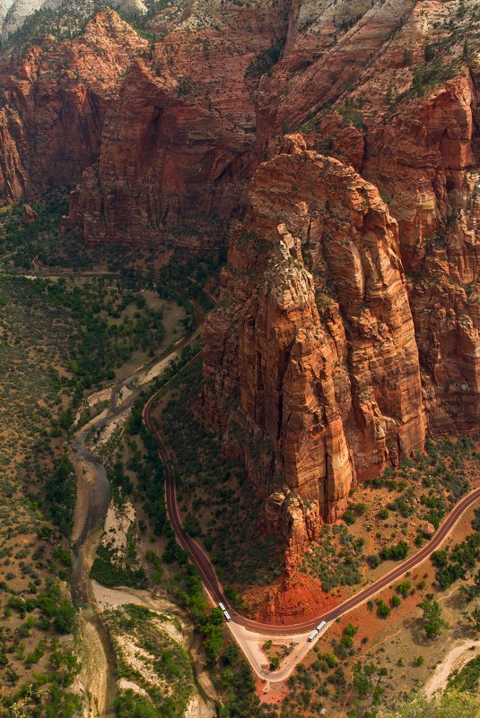 Zion Canyon - Евгения Лысцова