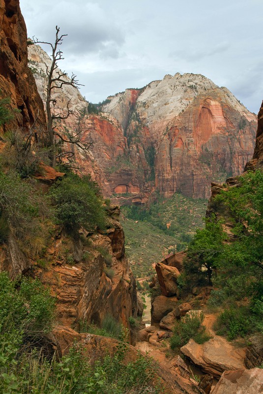 Zion National Park - Евгения Лысцова