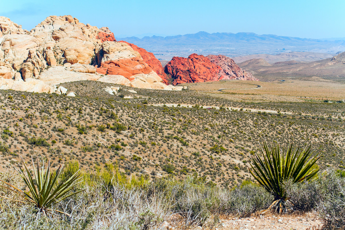 Red Rock Canyon - Евгения Лысцова