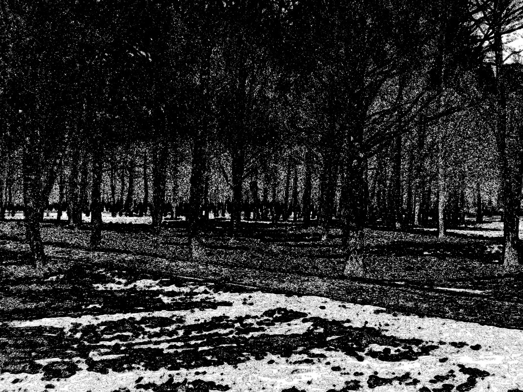 *** - Юрий Журавлев