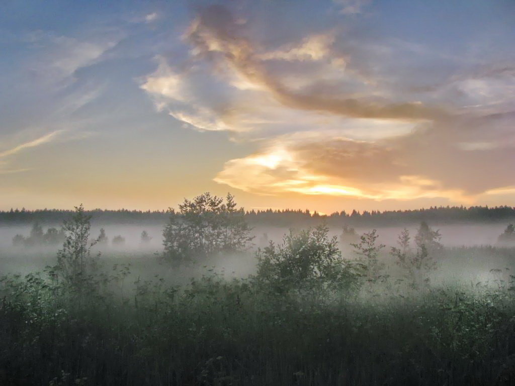 КРАСИВО ЛОЖИЛСЯ ТУМАН - Лара Симонова 