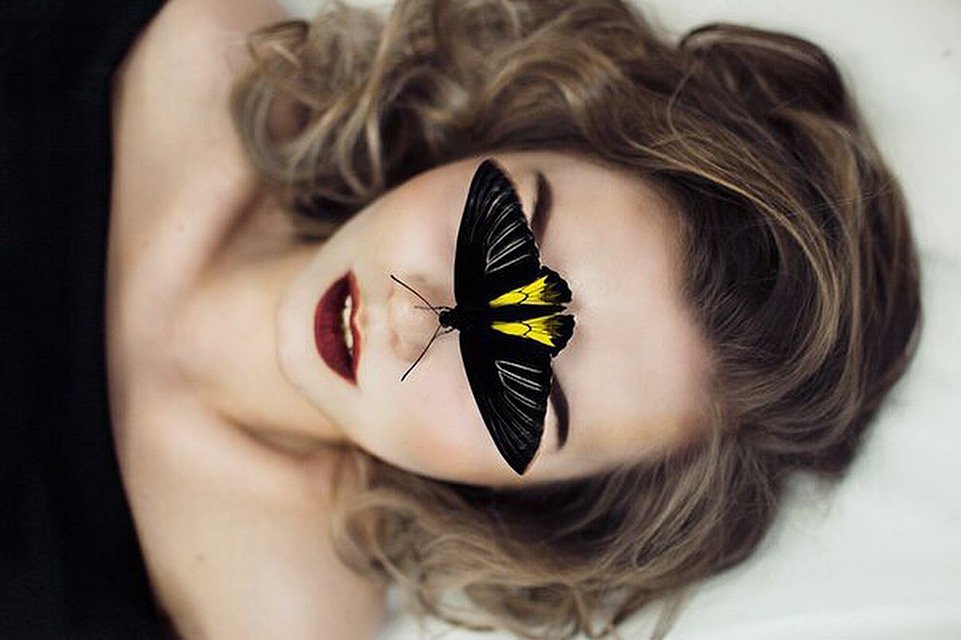 Девушка и бабочка - Alina 